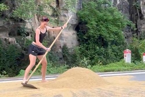 Khách Tây miệt mài cào thóc, giúp bà con Ninh Bình chạy mưa