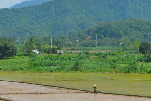 Tranh thủ nguồn nước mưa, vùng cao Nghệ An làm đất gieo cấy lúa mùa