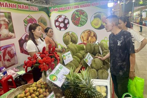 Khai mạc Lễ hội trái cây Long Khánh