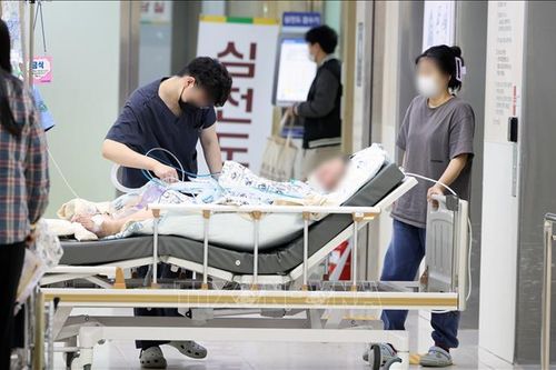 Bác sĩ tại các bệnh viện lớn Hàn Quốc quyết định đình công vô thời hạn