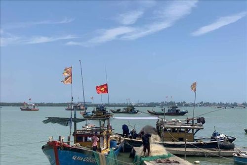 Trợ lực giúp ngư dân vươn khơi, bám biển