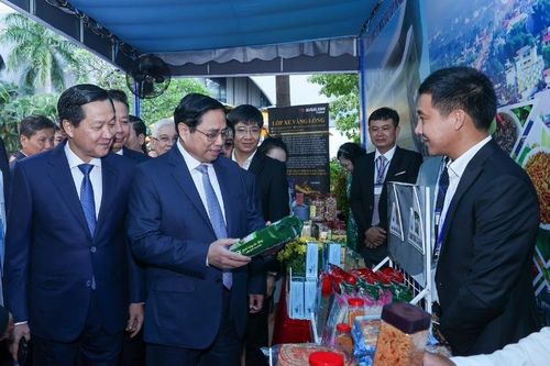 Duy bánh tráng: Muốn 'cuốn cả thế giới'
