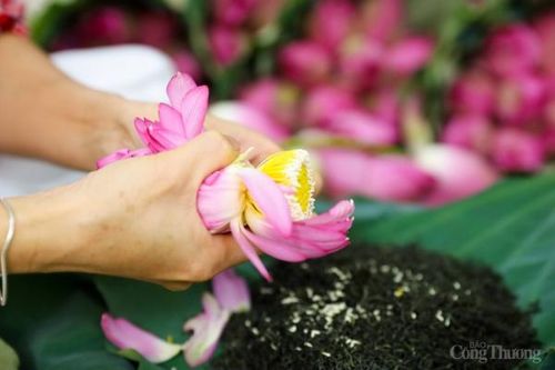 Cận cảnh quy trình làm trà sen đầy công phu, tinh tế của người Hà Nội