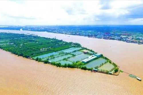 Độc đáo ở Cồn Sơn