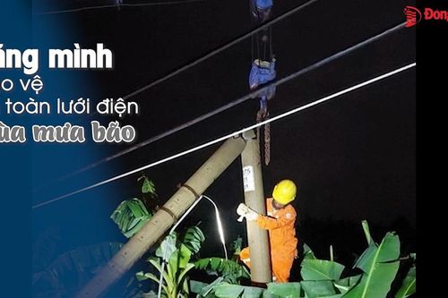 Căng mình bảo vệ an toàn lưới điện mùa mưa bão