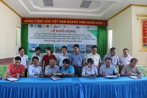 Khởi động Đề án một triệu héc-ta chuyên canh lúa chất lượng cao tại Đồng Tháp