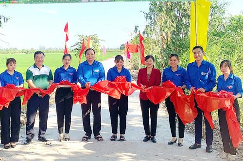 Tuổi trẻ Đất Sen hồng xung kích, tình nguyện vì cuộc sống cộng đồng