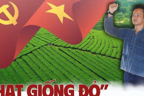 'Hạt giống đỏ' ở Ải Nam