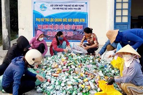 Phụ nữ Hải Lăng chung sức xây dựng nông thôn mới