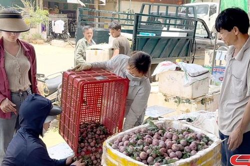 Sẵn sàng hỗ trợ nông dân tiêu thụ nông sản
