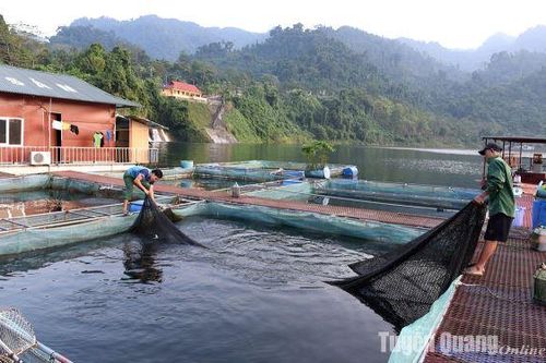 Bảo vệ thủy sản mùa mưa bão