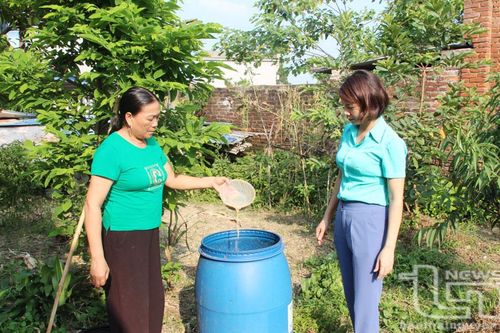 Lợi ích kép từ sử dụng men vi sinh IMO