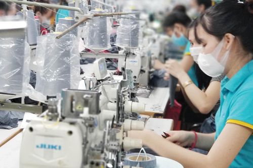 Hoàn thành thương vụ M&A chiến lược, lãi năm nay của Dệt may Thành Công (TCM) ước tăng 38%