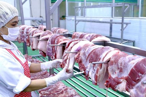 Kỳ vọng giá heo tăng cao, Siba Holdings muốn mua gần 28 triệu cổ phiếu của BaF Việt Nam