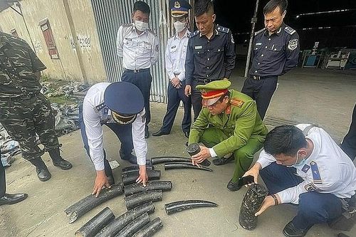 Tổng cục Hải quan thông tin về việc triển khai Chiến dịch Con Rồng Mê Kông 6