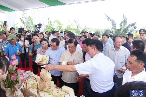 Ngày hội lúa rươi hữu cơ Tứ Kỳ tại Hải Dương