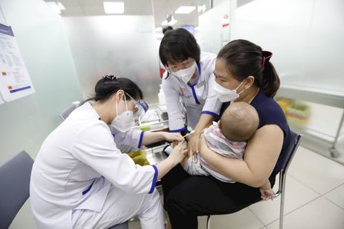 Lo ngại sự trở lại của bệnh dại, sởi và ho gà khu vực phía Nam