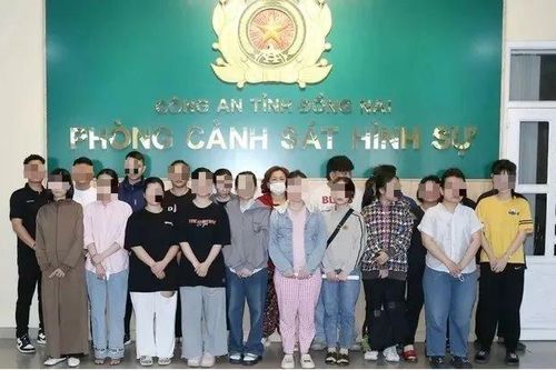 Khởi tố thêm 41 bị can trong vụ 'vẽ' dự án ảo để lừa khách mua đất