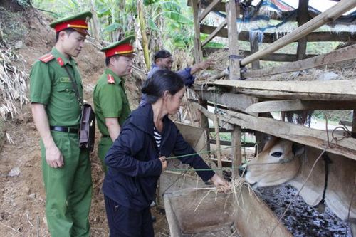 Kỳ cuối: Không đâu bằng quê hương