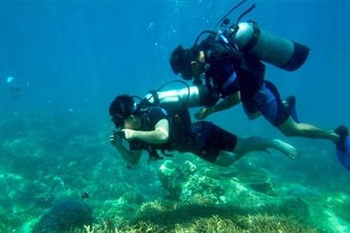 Tổ chức thí điểm lặn biển thể thao giải trí tại 4 khu vực ở vịnh Nha Trang