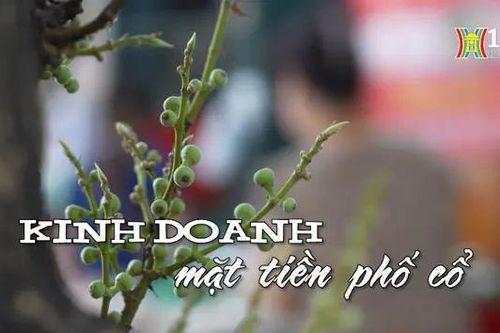 Kinh doanh mặt tiền phố cổ | Nhịp sống Hà Nội | 12/06/2024