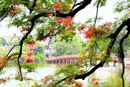 Mùa hè Hà Nội