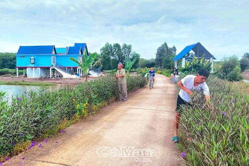 Sắc mới Tam Giang Tây