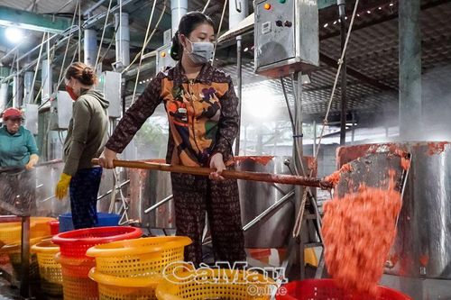 HTX vệ tinh - Bệ đỡ cho kinh tế tập thể
