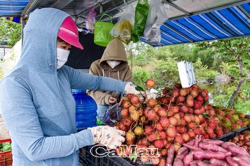 Chọn lựa thực phẩm an toàn