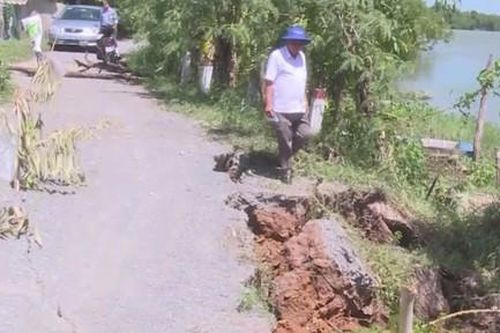 Sạt lở 2 đoạn đê ven sông Vàm Cỏ Tây, hoa màu, đường sá chìm xuống sông