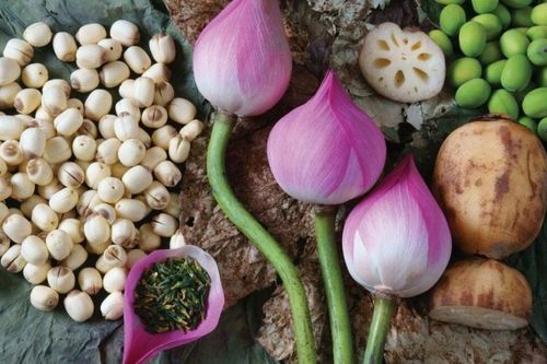 Mẹo bảo quản hạt sen tươi để cả năm không bị thâm