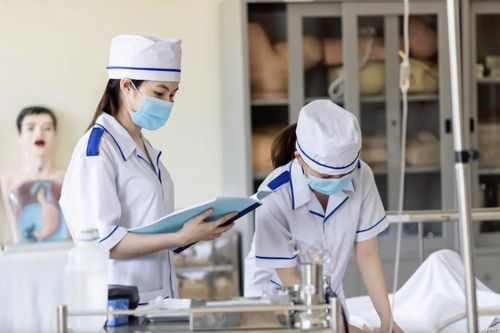 Ngoài khối B, nhiều trường đại học y dược xét tuyển bằng tổ hợp lạ