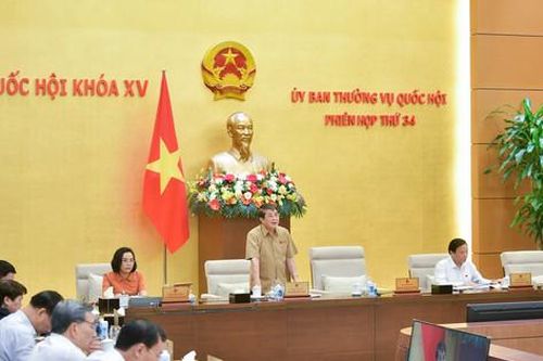 Chuyển đổi thêm nhiều diện tích rừng, đất rừng để xây dựng công trình đường cao tốc