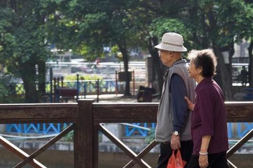 Con trai đưa bố mẹ U70 lên thành phố báo hiếu nhưng họ chỉ muốn bỏ về quê ngay, đau lòng khi chứng kiến 1 điều