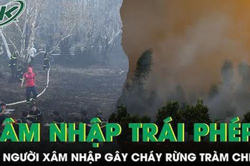 Phát hiện có người xâm nhập trái phép gây ra vụ cháy lớn ở Vườn quốc gia Tràm Chim