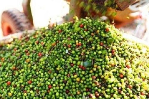 Container hàng xuất khẩu nghi bị 'rút ruột': Chưa đủ cơ sở để khẳng định?