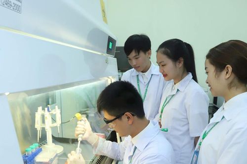 Mất cân đối nguồn thu trong các trường đại học