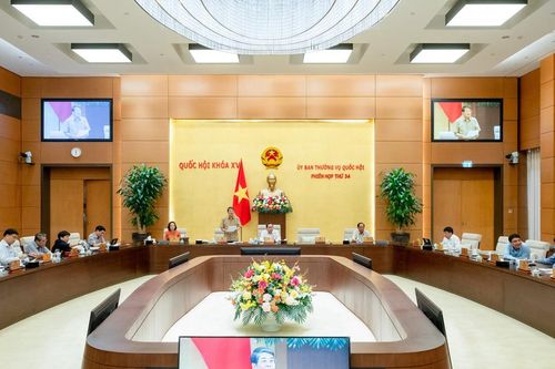 Thí điểm có được miễn trừ trách nhiệm?