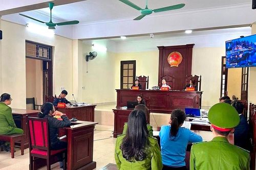 Hải Phòng: Bị xử có án vì cạy hàng rào tôn vào khu đất đang tranh chấp, các bị cáo kêu oan