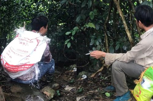 Người đàn ông mất tích khi vào rừng bắt ốc