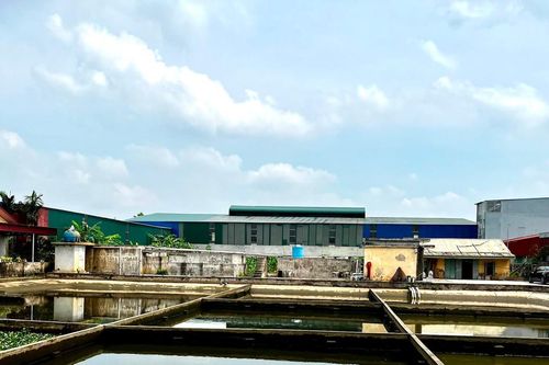 Hải Phòng: Sẽ ban hành Nghị quyết về nước sạch nông thôn