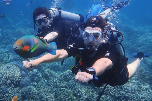 Thí điểm mở lại hoạt động lặn biển ngắm san hô tại vịnh Nha Trang