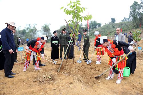 Tuyên Quang hoàn thành trước 1 năm Đề án trồng 1 tỷ cây xanh