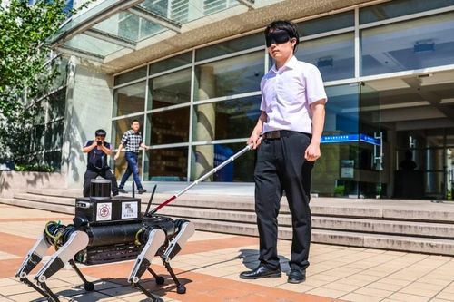 Robot chó dẫn đường