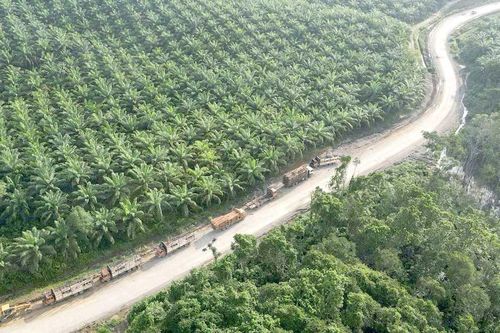 Tăng mục tiêu cắt giảm lượng khí thải CO2
