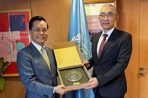 Việt Nam tăng cường hợp tác song phương với UNESCO và các quốc gia thành viên