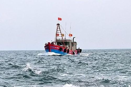 Nghệ An xử phạt 8 tàu đánh cá vì lỗi mất kết nối hành trình