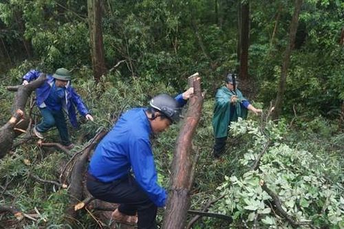 Tuổi trẻ Thanh Hóa tiếp tục nhiều hoạt động hỗ trợ dự án đường dây 500kV mạch 3