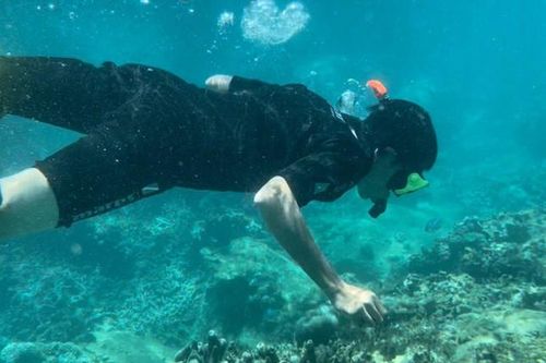 Thí điểm cho du khách lặn biển ngắm san hô vịnh Nha Trang
