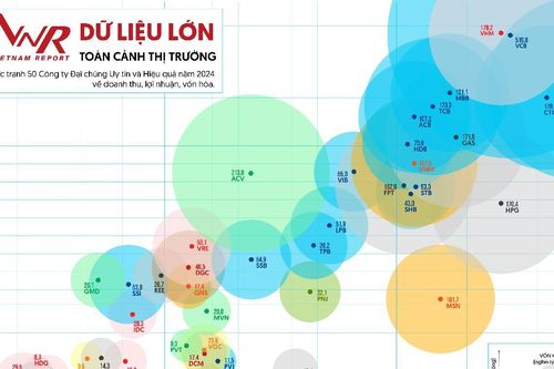 Vietnam Report: Toàn cảnh bảng xếp hạng VIX50 năm 2024